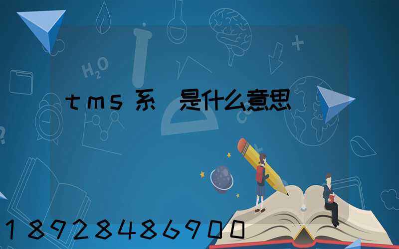 tms系統是什么意思