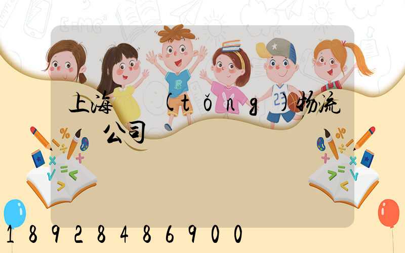 上海傳統(tǒng)物流運輸公司