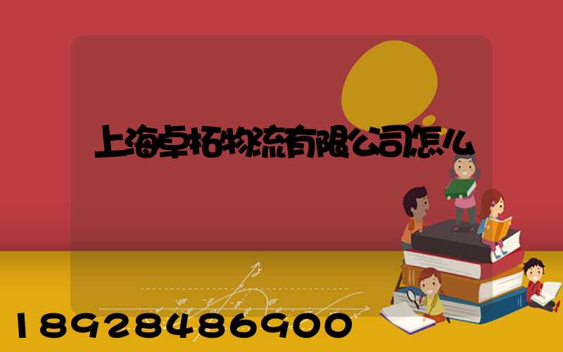 上海卓拓物流有限公司怎么樣