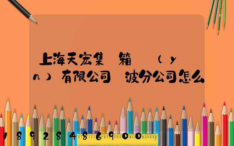 上海天宏集裝箱儲運(yùn)有限公司寧波分公司怎么樣