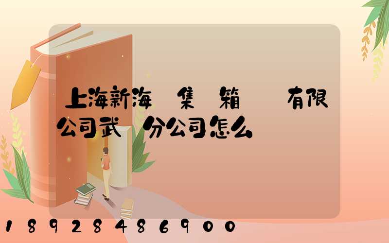 上海新海豐集裝箱運輸有限公司武漢分公司怎么樣