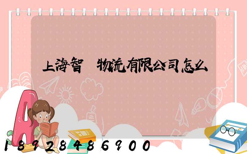 上海智寶物流有限公司怎么樣