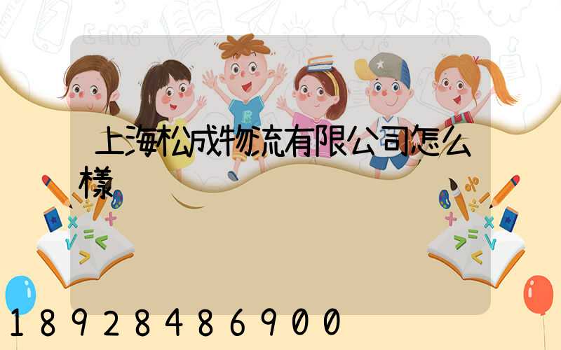 上海松成物流有限公司怎么樣