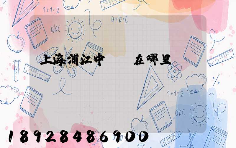 上海浦江中轉場在哪里