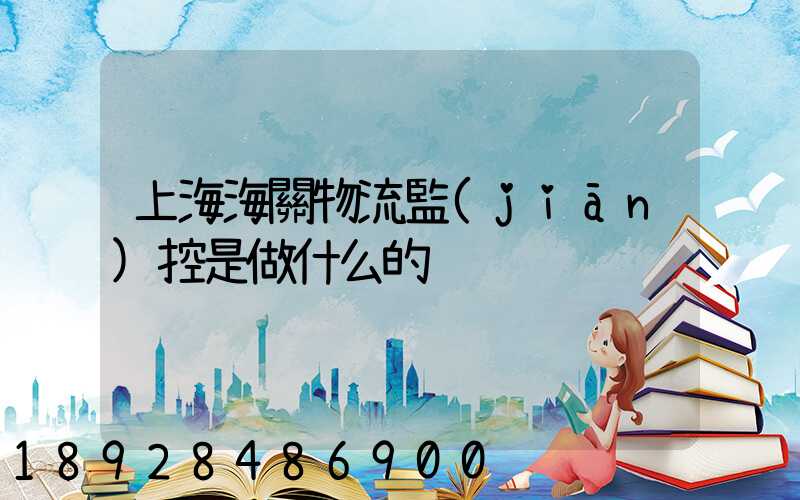 上海海關物流監(jiān)控是做什么的