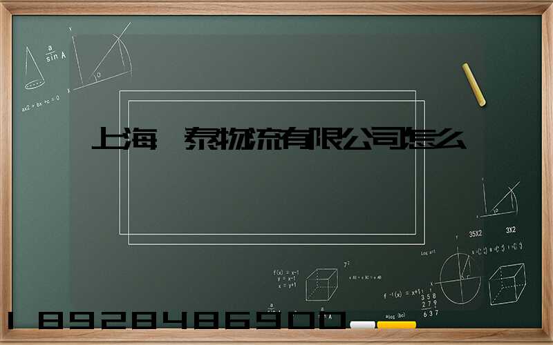 上海穩泰物流有限公司怎么樣