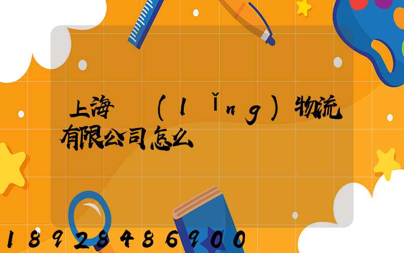 上海華領(lǐng)物流有限公司怎么樣