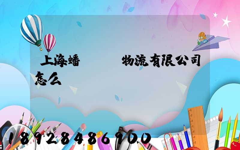 上海蟠龍國際物流有限公司怎么樣