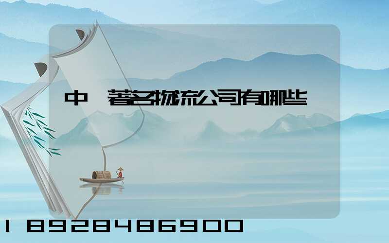 中國著名物流公司有哪些