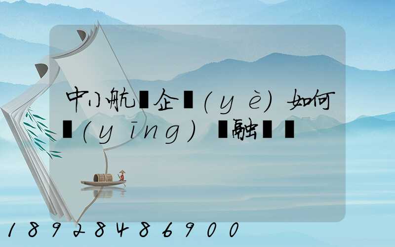 中小航運企業(yè)如何應(yīng)對融資難