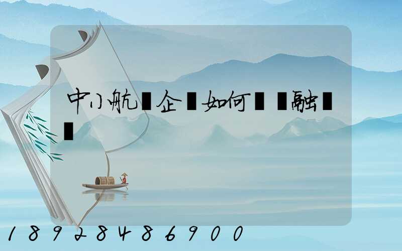 中小航運企業如何應對融資難