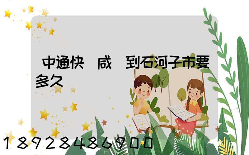 中通快遞咸陽到石河子市要多久