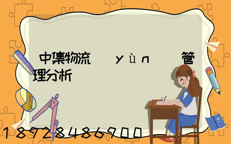 中集物流運(yùn)輸管理分析