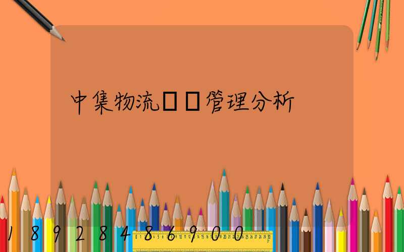 中集物流運輸管理分析