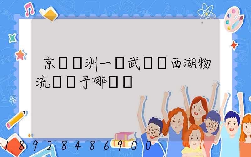 京東亞洲一號武漢東西湖物流園屬于哪個區