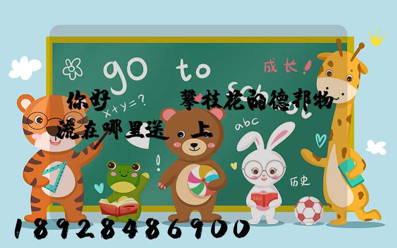 你好!請問攀枝花的德邦物流在哪里送貨上門嗎