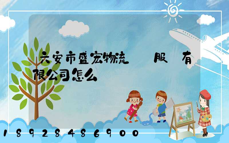 六安市盛宏物流運輸服務有限公司怎么樣