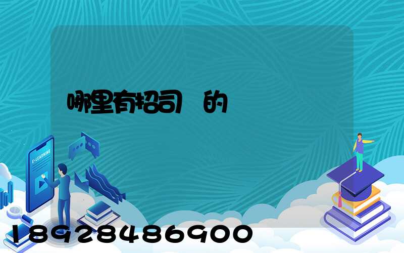 哪里有招司機的