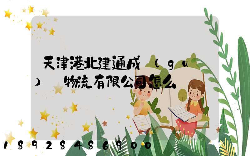 天津港北建通成國(guó)際物流有限公司怎么樣