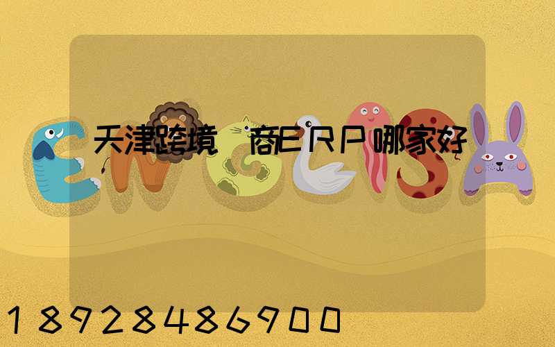 天津跨境電商ERP哪家好