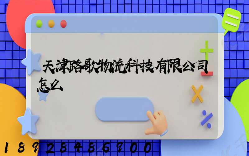 天津路歌物流科技有限公司怎么樣