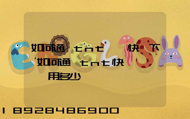 如何通過tnt國際快遞下單如何通過tnt快遞發貨——費用多少