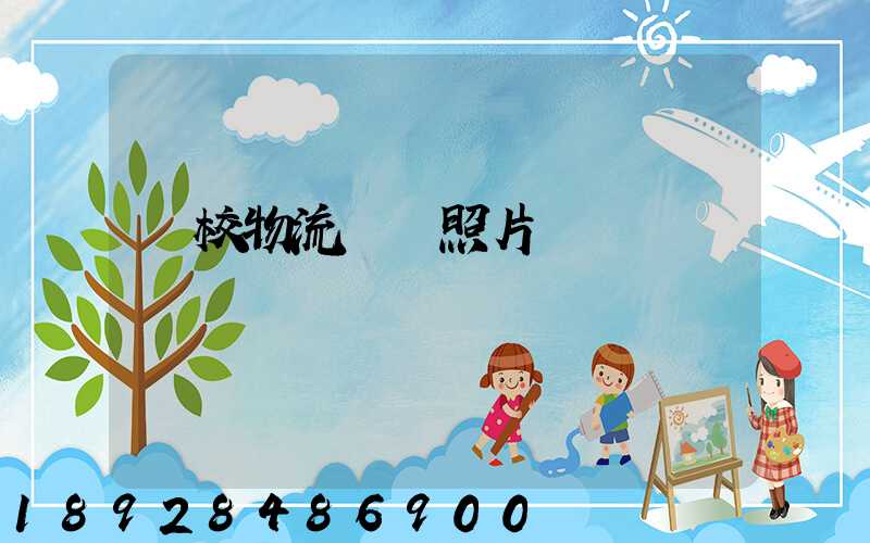 學校物流運輸照片