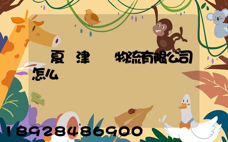 寧夏寧津國際物流有限公司怎么樣