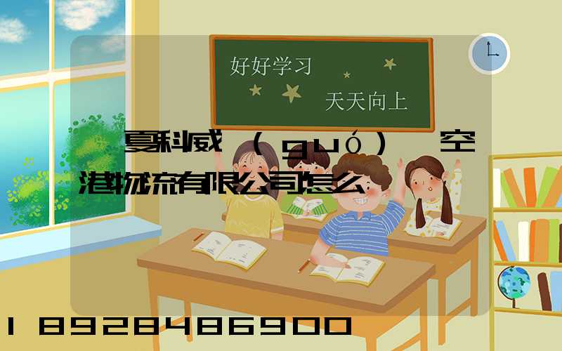 寧夏科威國(guó)際空港物流有限公司怎么樣