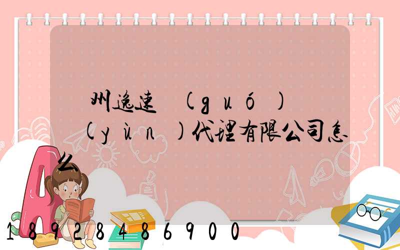 廣州逸速國(guó)際貨運(yùn)代理有限公司怎么樣