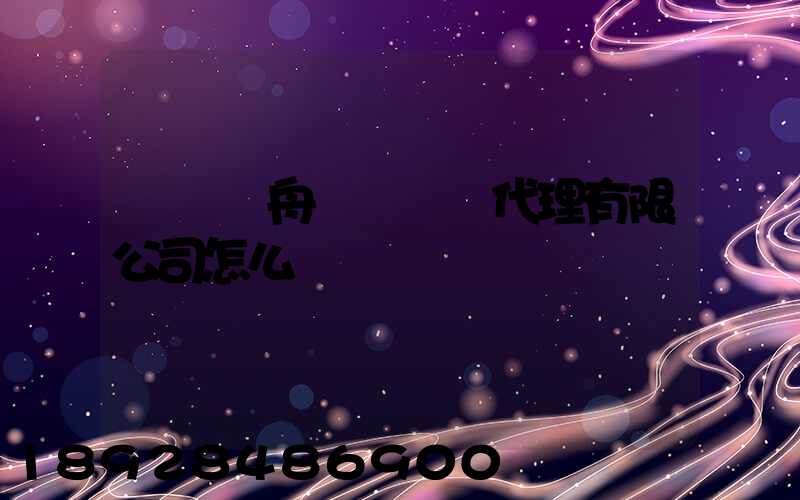 廣東遠舟國際貨運代理有限公司怎么樣