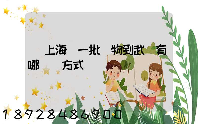 從上海運一批貨物到武漢有哪幾種方式