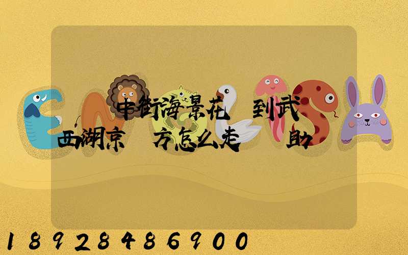 從吳中街海景花園到武漢東西湖京東方怎么走請幫助