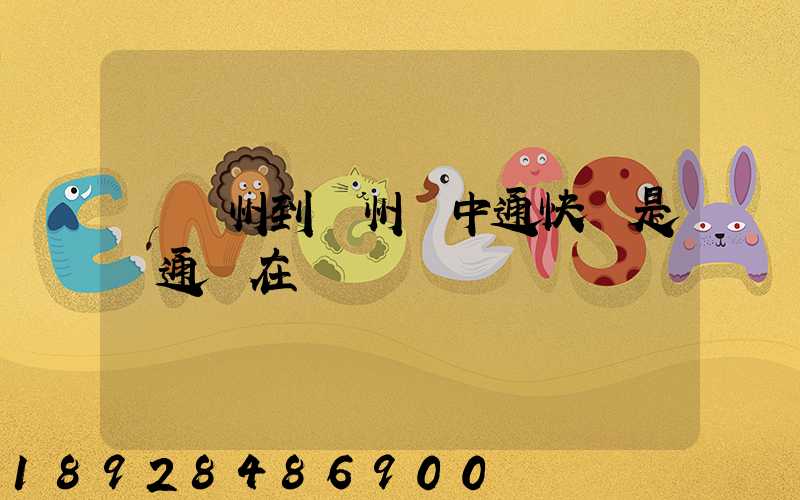 從廣州到蘇州發中通快還是圓通現在