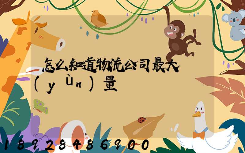 怎么知道物流公司最大貨運(yùn)量