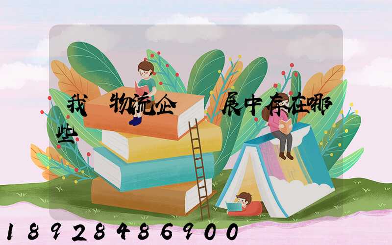 我國物流企業發展中存在哪些問題