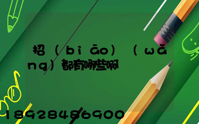 招標(biāo)網(wǎng)都有哪些啊