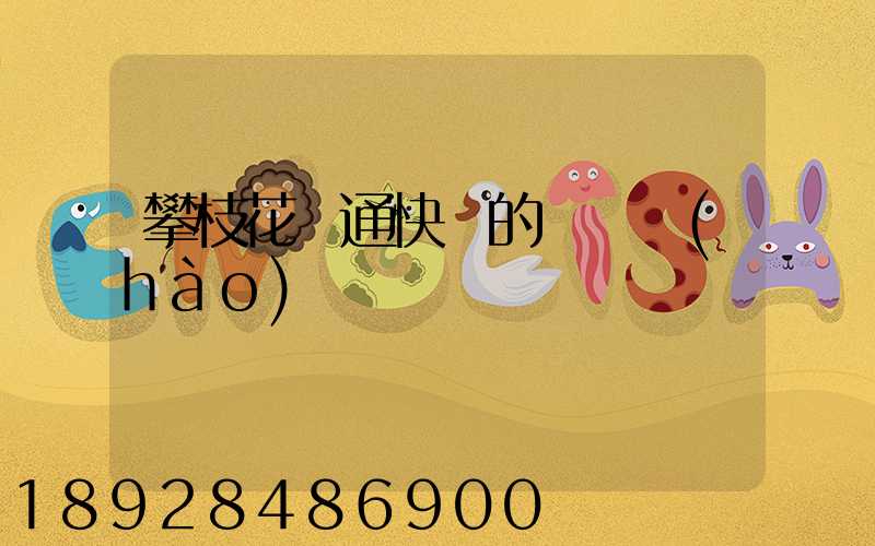 攀枝花圓通快遞的電話號(hào)碼