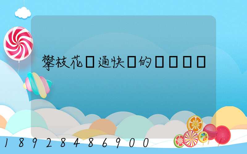 攀枝花圓通快遞的電話號碼