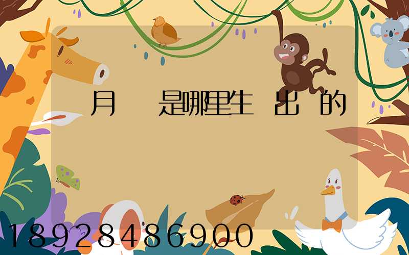 攬月貓糧是哪里生產出來的