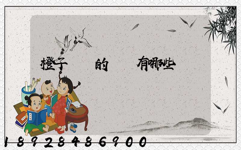 橙子運輸的優勢有哪些