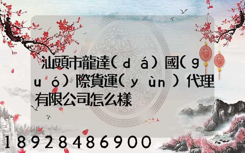 汕頭市龍達(dá)國(guó)際貨運(yùn)代理有限公司怎么樣