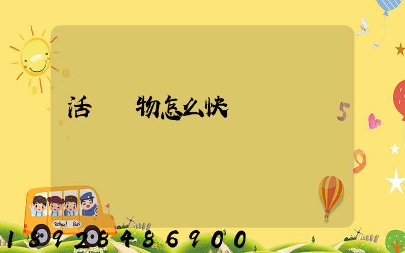 活體寵物怎么快遞