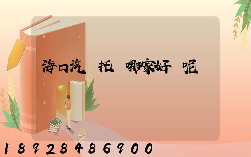 海口汽車托運哪家好點呢