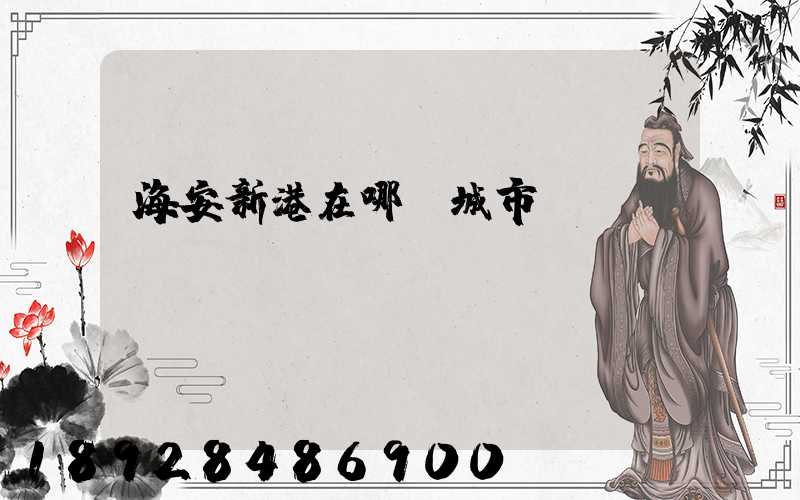 海安新港在哪個城市