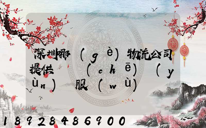 深圳哪個(gè)物流公司提供氣墊車(chē)運(yùn)輸服務(wù)