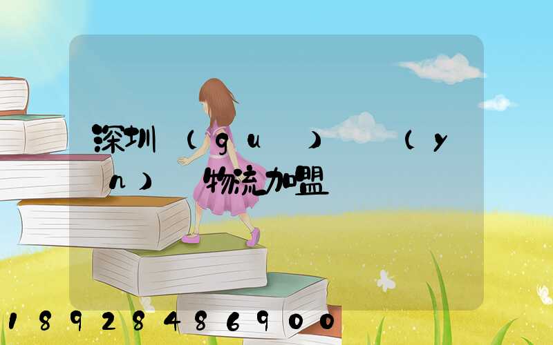 深圳國(guó)際運(yùn)輸物流加盟