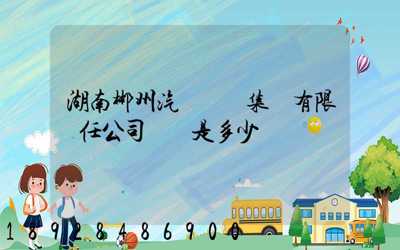 湖南郴州汽車運輸集團有限責任公司電話是多少