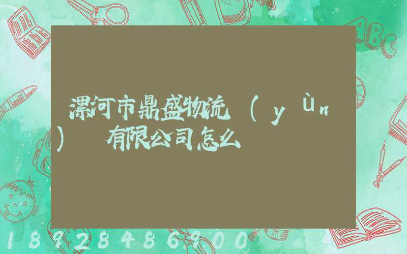漯河市鼎盛物流運(yùn)輸有限公司怎么樣