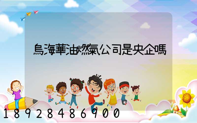 烏海華油燃氣公司是央企嗎